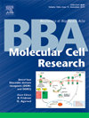 BIOCHIMICA ET BIOPHYSICA ACTA-MOLECULAR CELL RESEARCH