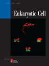 EUKARYOTIC CELL