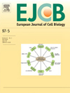 EUROPEAN JOURNAL OF CELL BIOLOGY