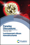 FARADAY DISCUSSIONS