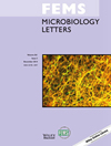 FEMS MICROBIOLOGY LETTERS