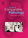 JOURNAL OF COMPARATIVE PATHOLOGY