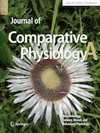 JOURNAL OF COMPARATIVE PHYSIOLOGY A-NEUROETHOLOGY SENSORY NEURAL AND BEHAVIORAL PHYSIOLOGY