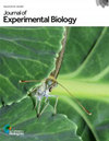 JOURNAL OF EXPERIMENTAL BIOLOGY