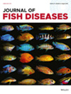 JOURNAL OF FISH DISEASES