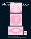 JOURNAL OF MICROPALAEONTOLOGY