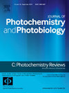 JOURNAL OF PHOTOCHEMISTRY AND PHOTOBIOLOGY C-PHOTOCHEMISTRY REVIEWS