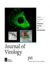 JOURNAL OF VIROLOGY