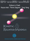 Kinetic and Related Models