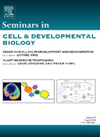 SEMINARS IN CELL & DEVELOPMENTAL BIOLOGY