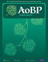 AoB Plants